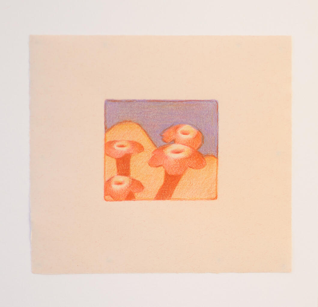 Portfolio 6