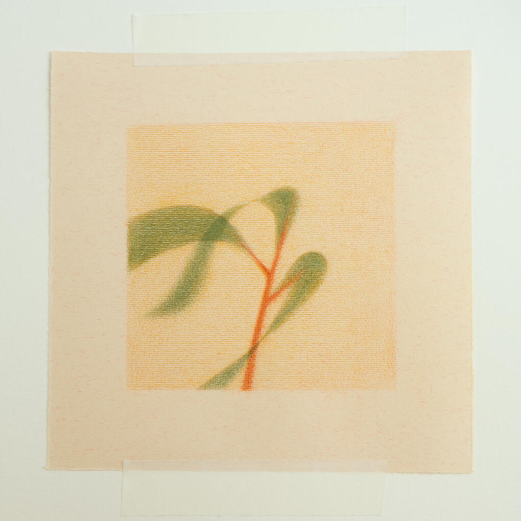 Portfolio 3