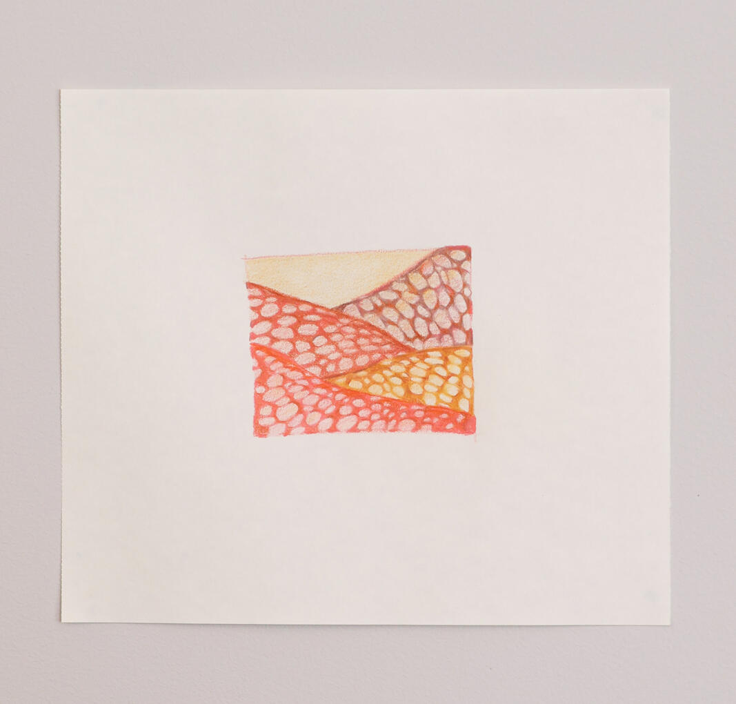 Portfolio 5